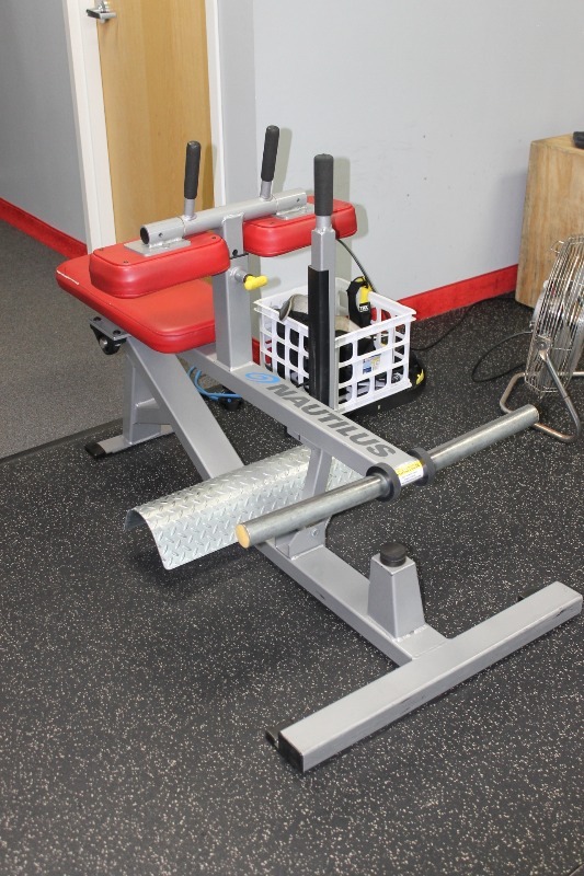 Seated Calf Raise