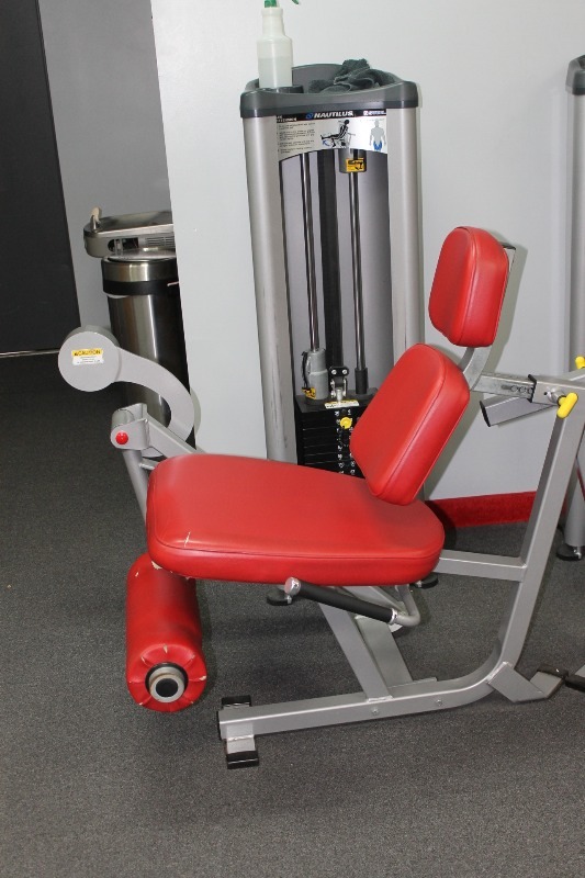 Leg Extension