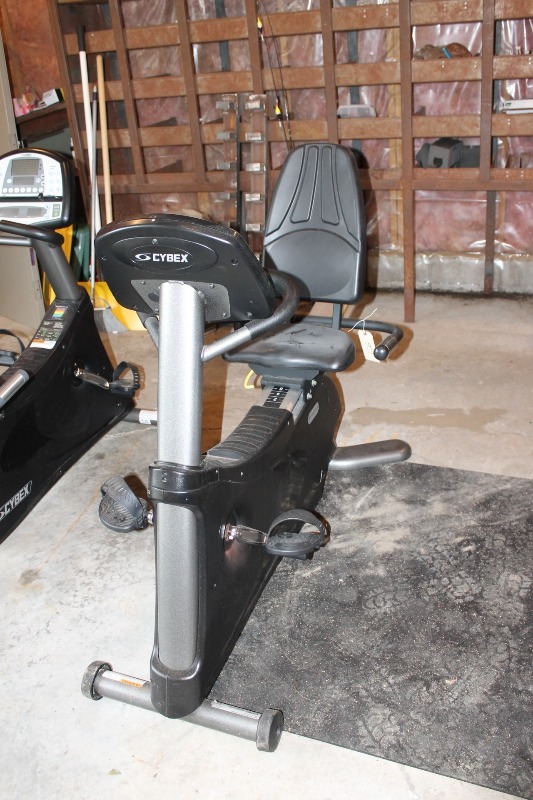 Recumbent Bike