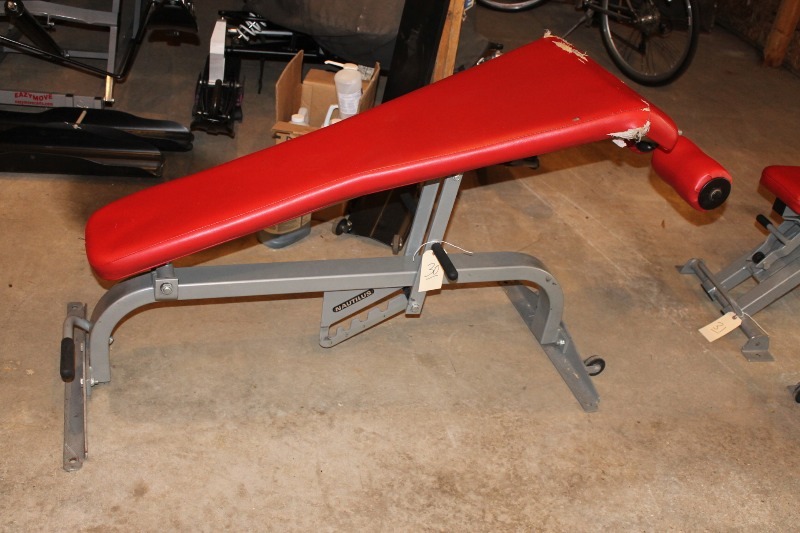 Nautilus Adjustable Decline Bench