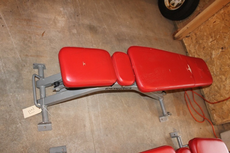 Nautilus Multi-Adjustable Bench