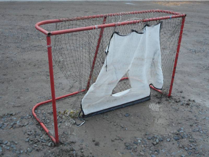 lot 37 image: Steel-Framed Full-Sized Hockey Net ...