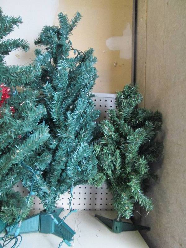 Assortment of size of Christmas tre...
