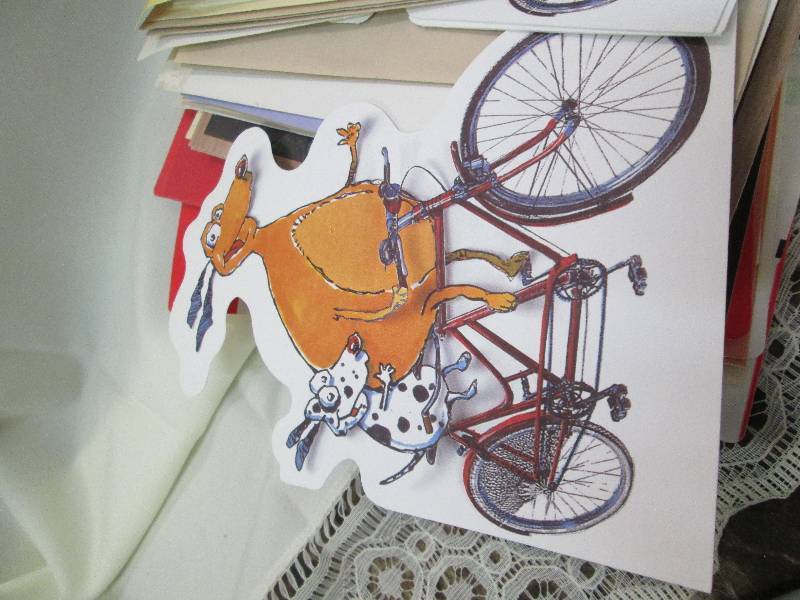 Assortment of blank card inside wit...