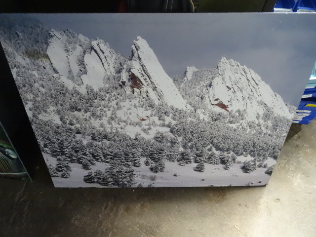 Picture Print 40 X 30