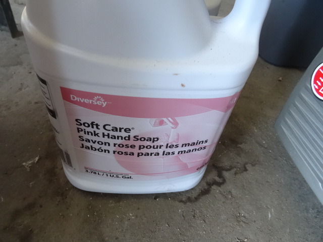 Diversey Soft Care Pine Hand Soap