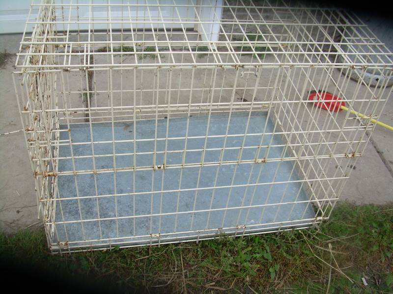 lot 3 image: metal dog carrier with cover