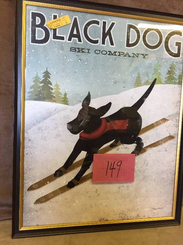 Black Dog Picture