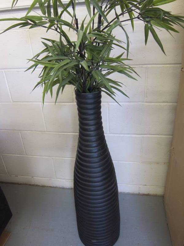 lot 80 image: Office Plant