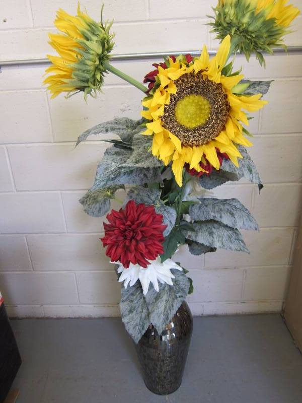lot 81 image: Office Plant