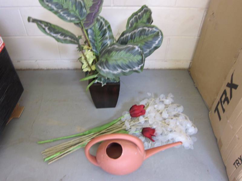 lot 82 image: Office Plant