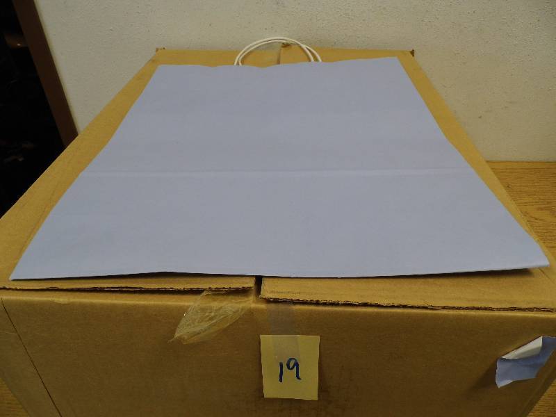lot 19 image: Shopping Bags