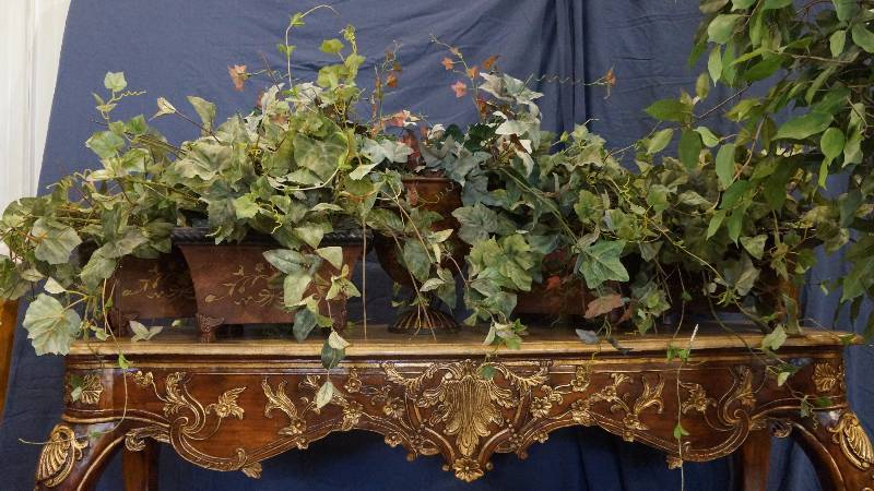 lot 7 image: Large Lot of Greenery in Containers