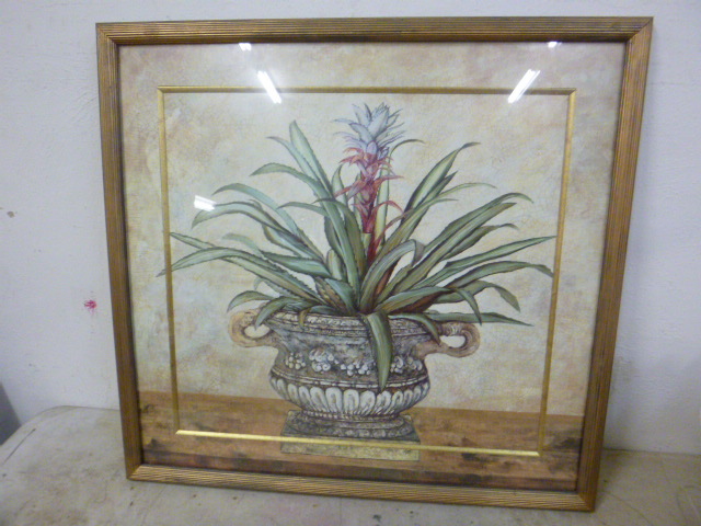 lot 61 image: Nice Cactus Picture