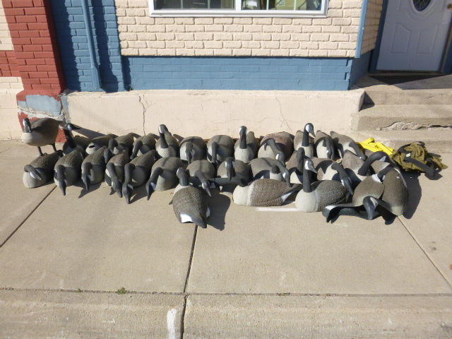 lot 92 image: 30 Goose Decoys