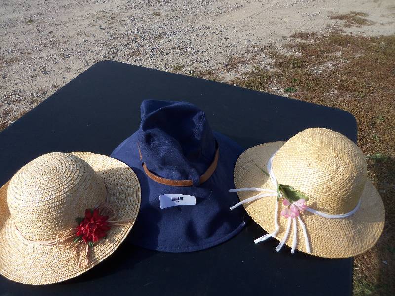 lot 170 image: Three Hats Lot
