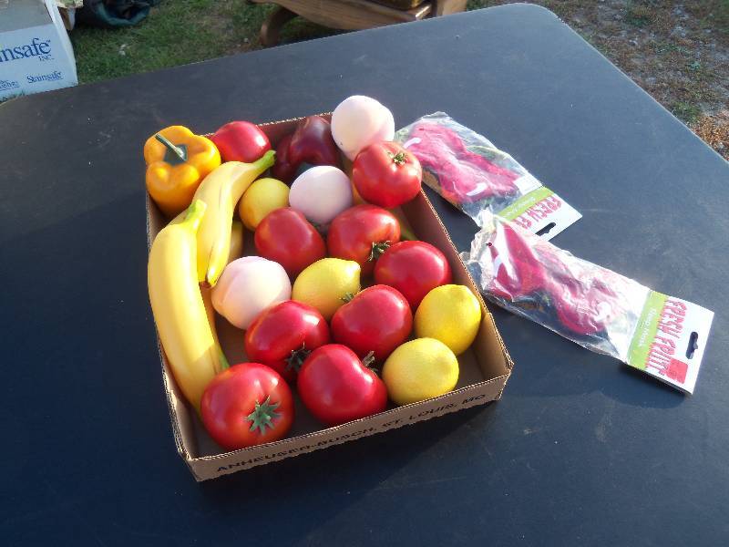 lot 218 image: Fake Fruit and Veggies