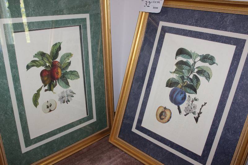 Lot of (2) Flower Prints wWooden Frames 27� x 33�.