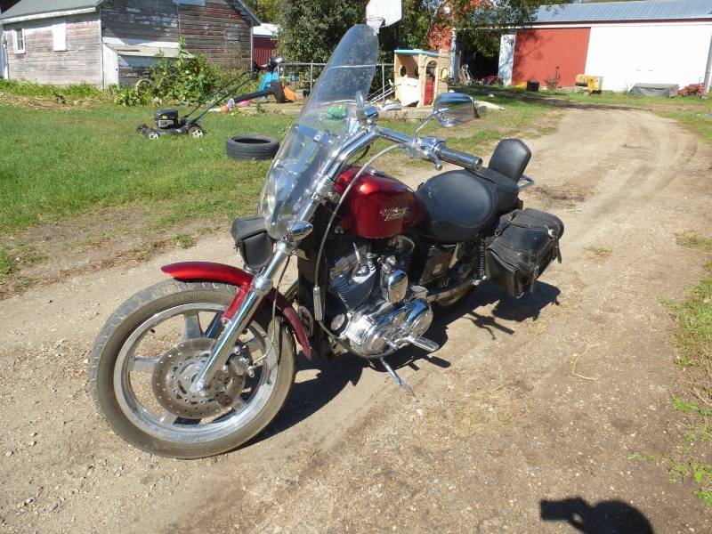 2003 Harley Davidson Sportster 1200 Anniversary Edition