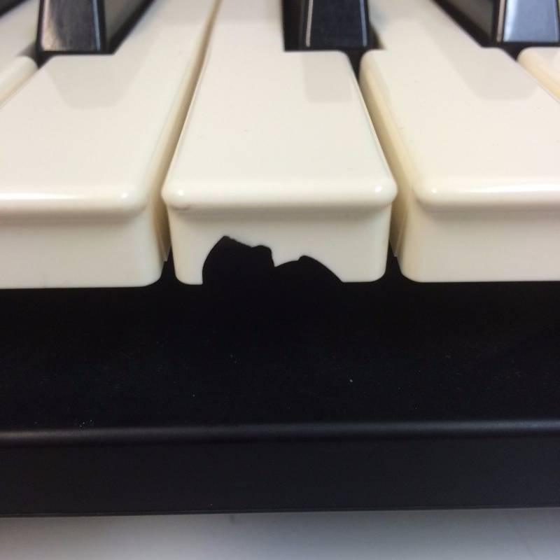 Korg DP-80 Digital Piano