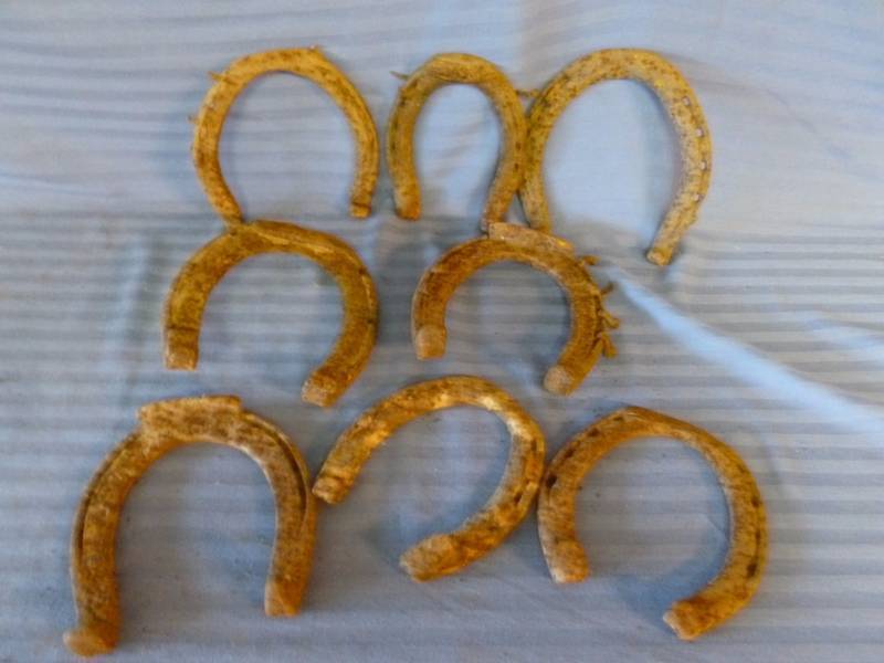 Antique Horse Equipment