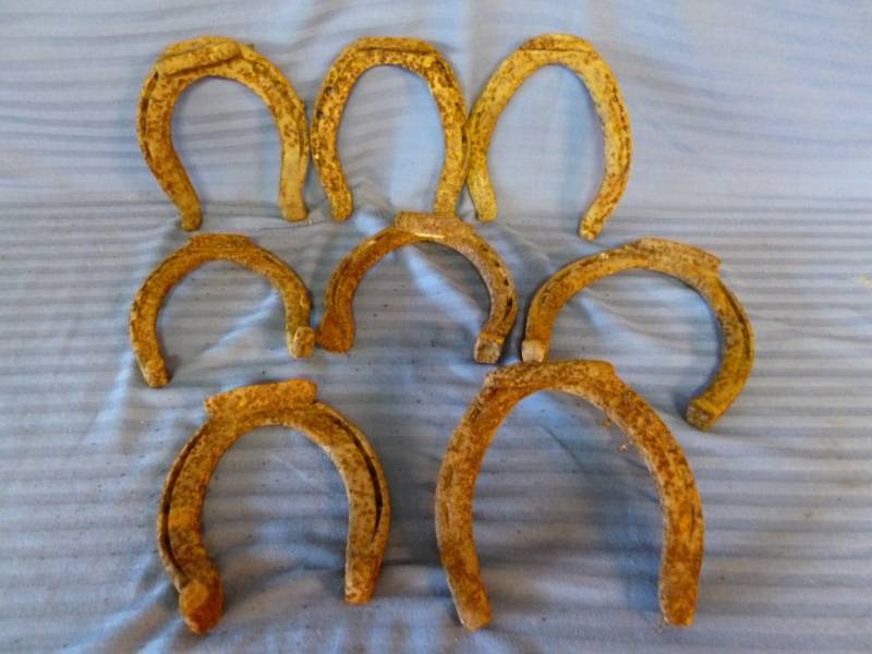 Antique Horse Equipment