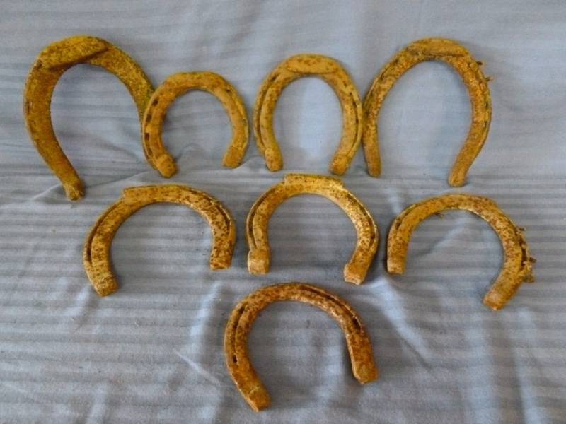 Antique Horse Equipment