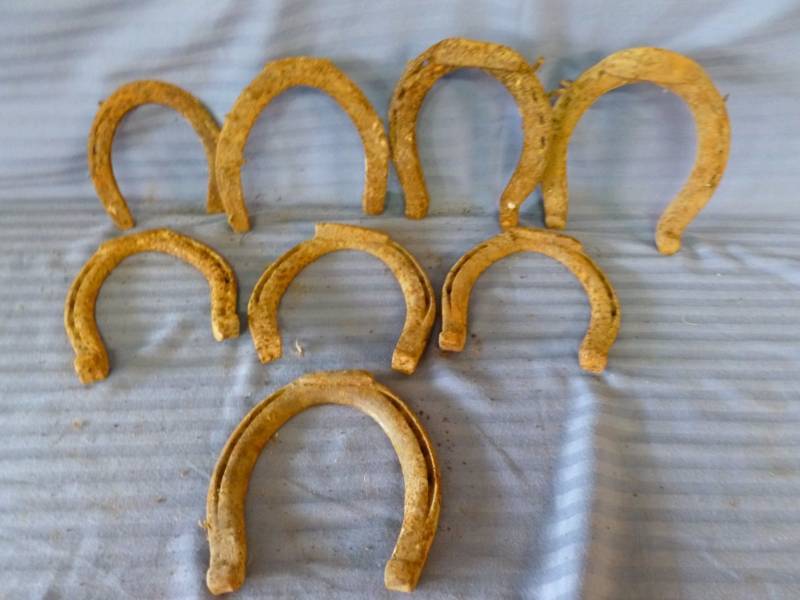 Antique Horse Equipment