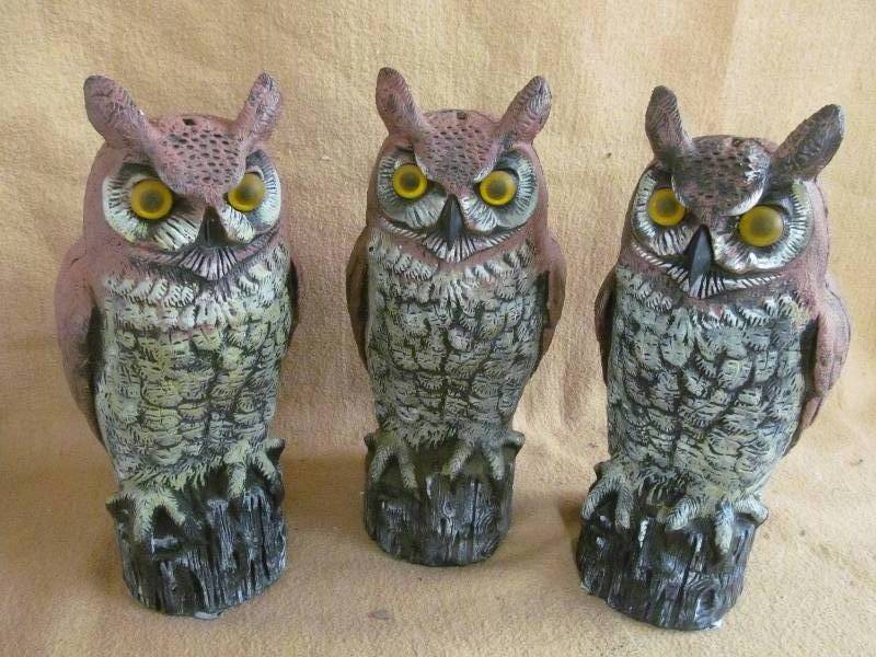 Owl Dcor