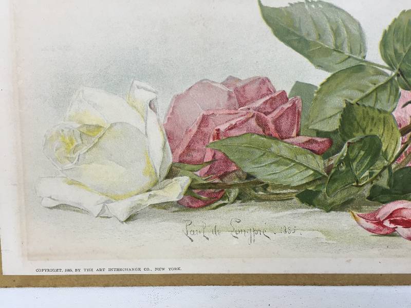 Beautiful antique lithograph extra long of roses must see
