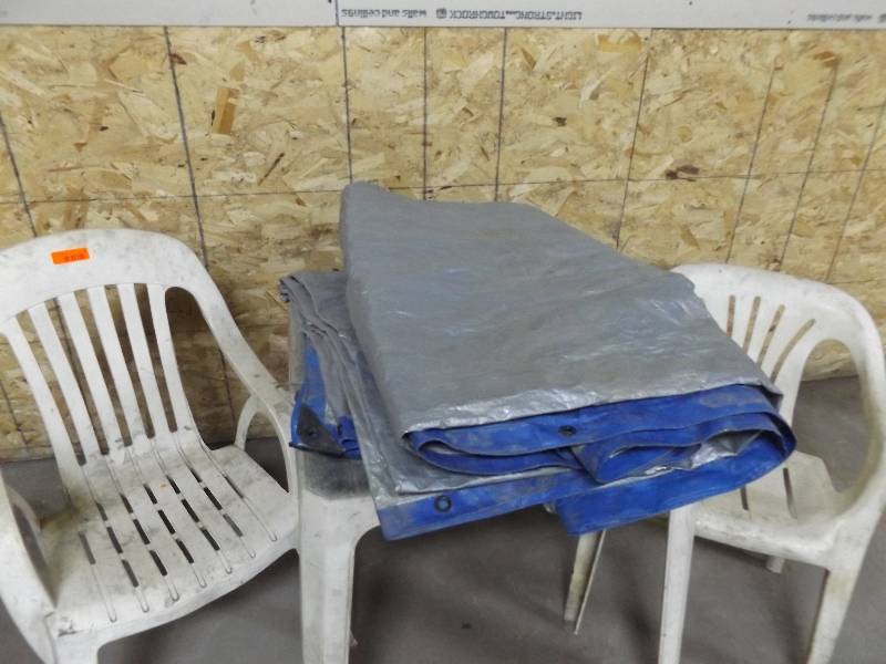 Tarp