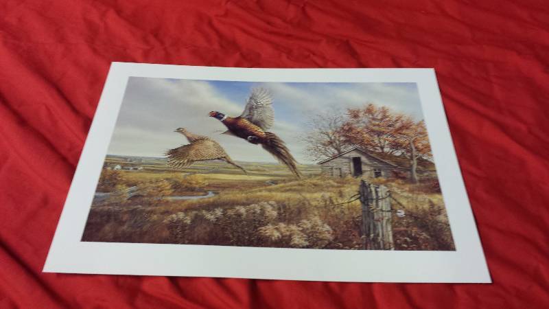 lot 161 image: Signed James Meger Pheasants