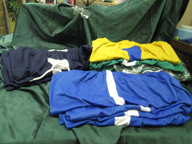 Qty 16 different colored shorts siz...