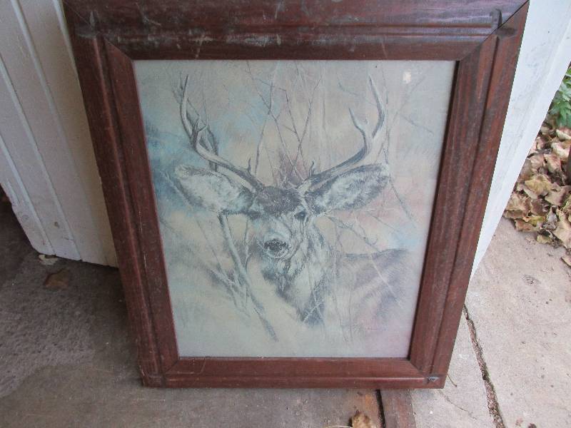 Framed picture of a deer, 21 x 25...