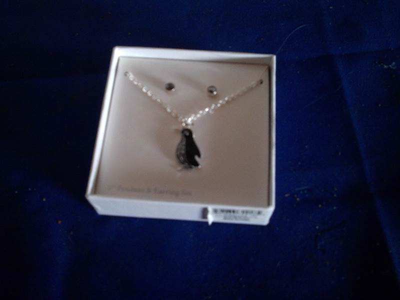 penguin kneckless and earing