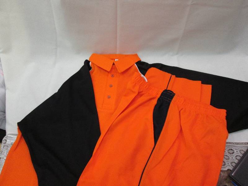 Orange Shirt with black accents (2)...