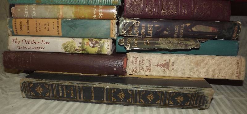 Vintage Book Lot - The October Fox, Let Love Come Last & More