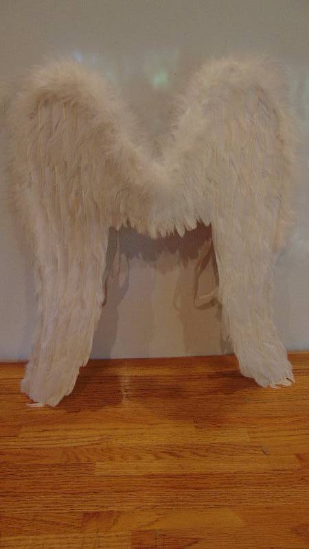 Real Feather Wings
