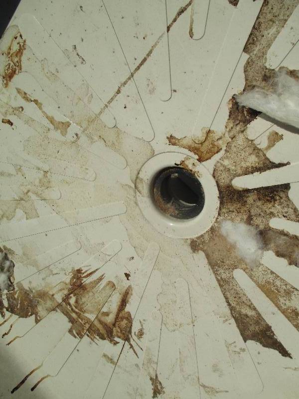 Shower floor base, needs cleaning...