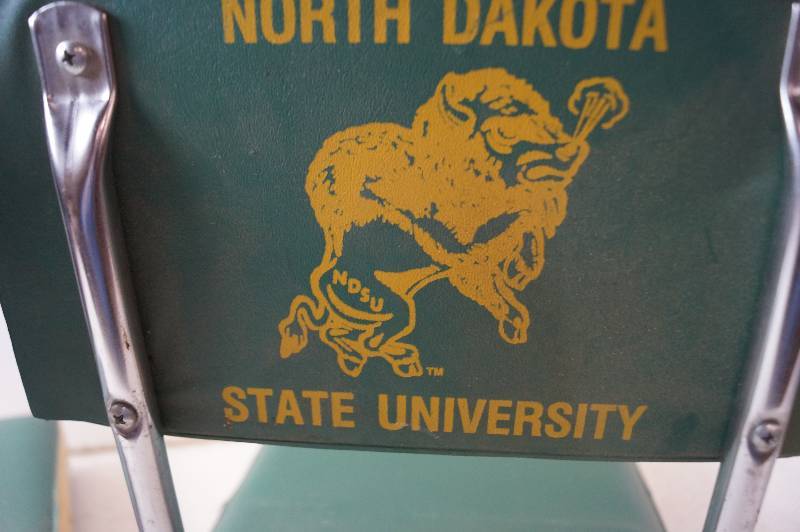 Bison Stadium Seats