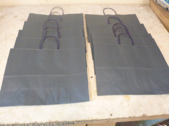 lot 14 image: 10 Blue Gift Bags