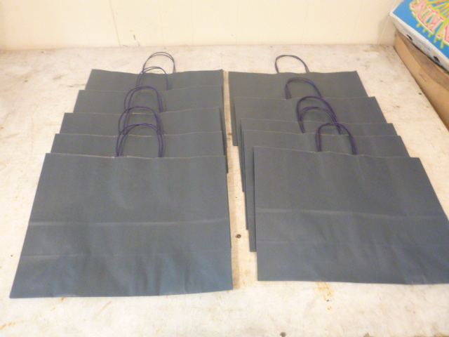 lot 15 image: 10 Blue Gift Bags
