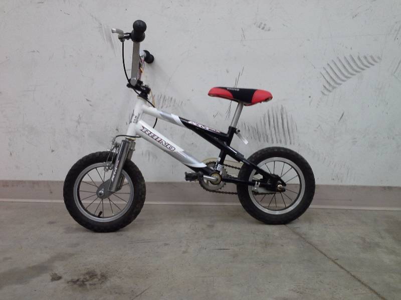 lot 42 image: Rhino Bicycle