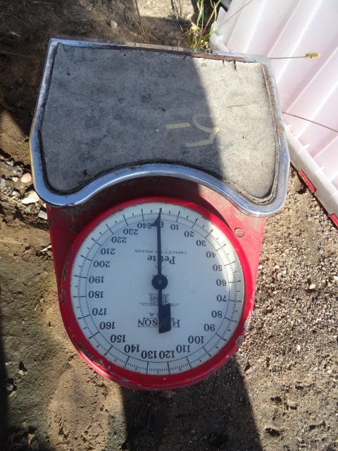 Vintage scale