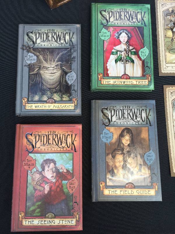 The Spiderwick Chronicles youth box gift set