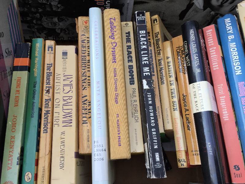 African American bulk lot of mixed books