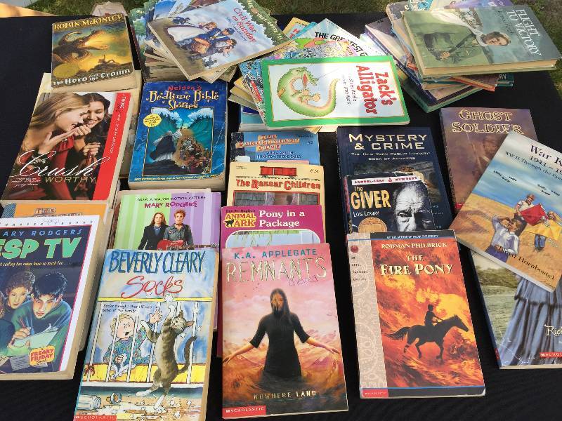 Large lot of Chapter novels and series for Pre teens and teens
