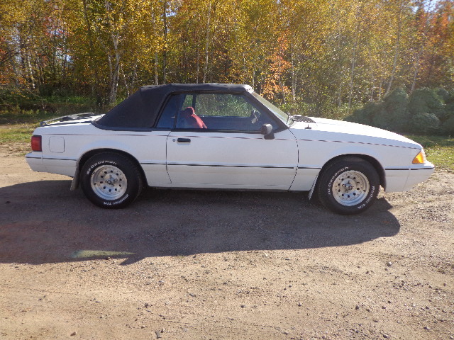 Ford Of Hibbing >> Ford Of Hibbing 2019 2020 New Upcoming Cars By Mamassecretbakery Com Ford Of Hibbing >> Ford Of Hibbing 2019 2020 New Upcoming Cars By Mamassecretbakery Com
