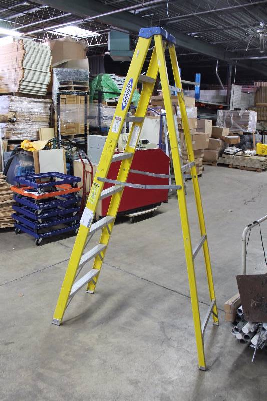 Werner 8 Ladder.