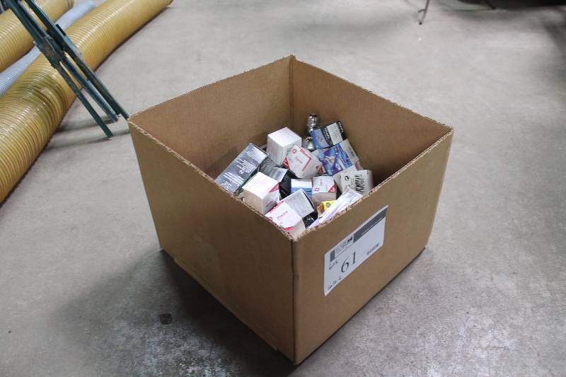 Box Lot of Miscellaneous Light Bulbs.